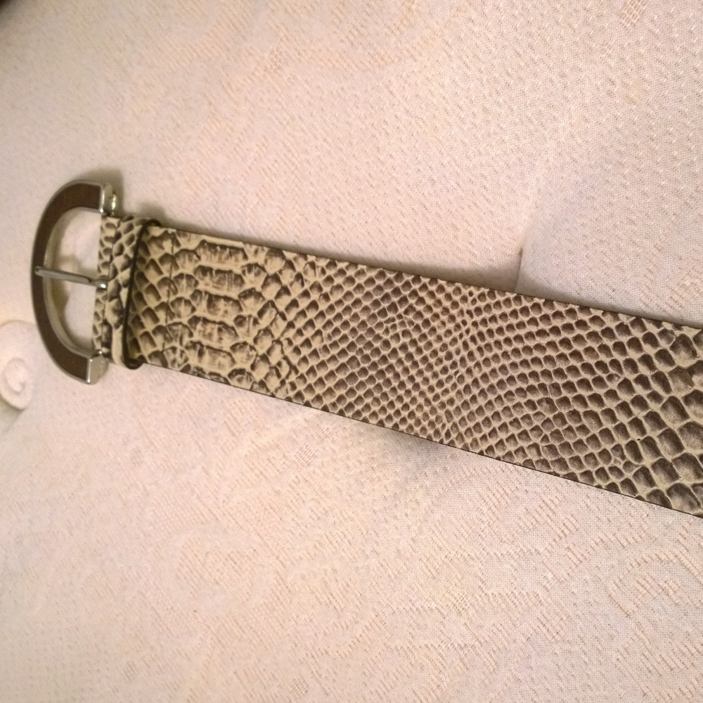 Python Pattern Belt! - image 1